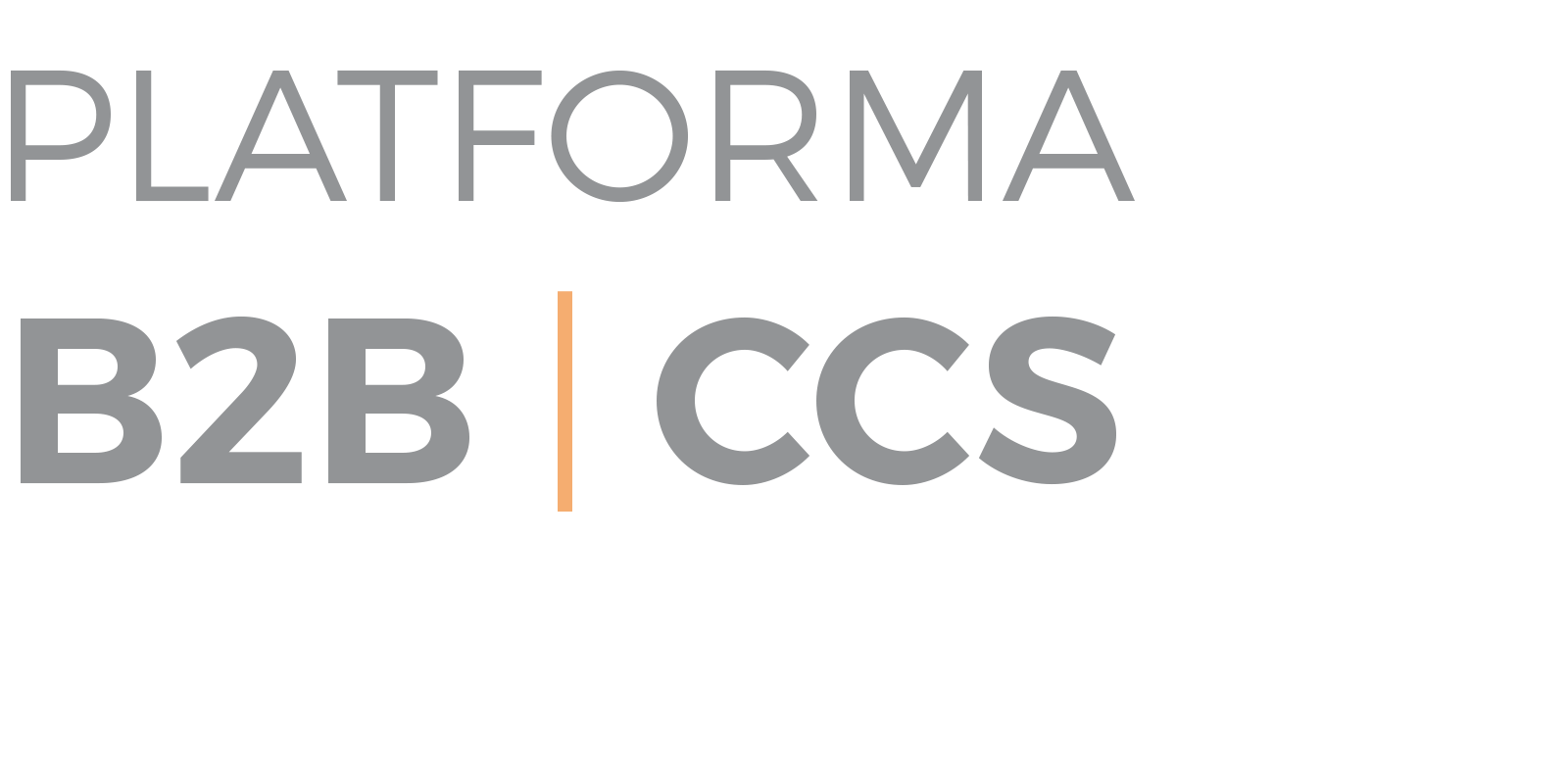 Platforma B2B | CCS